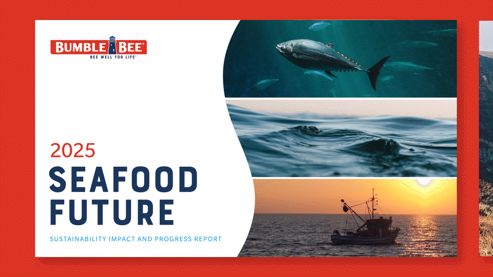 man taking a photo on a wharf