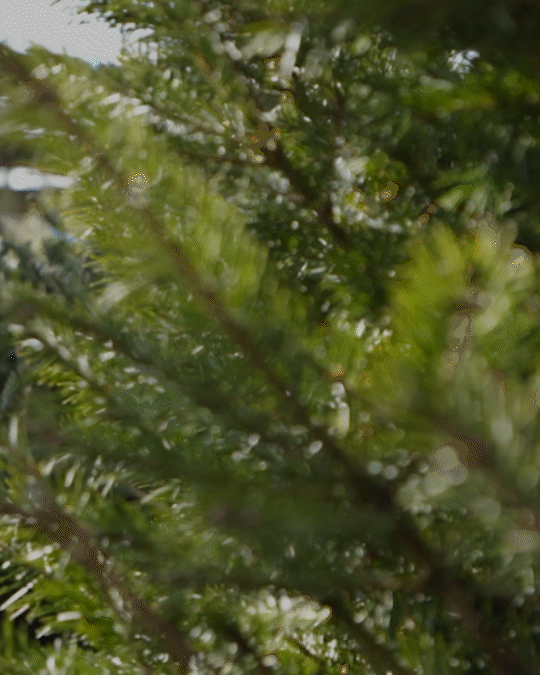 man walking in front of textured wall
