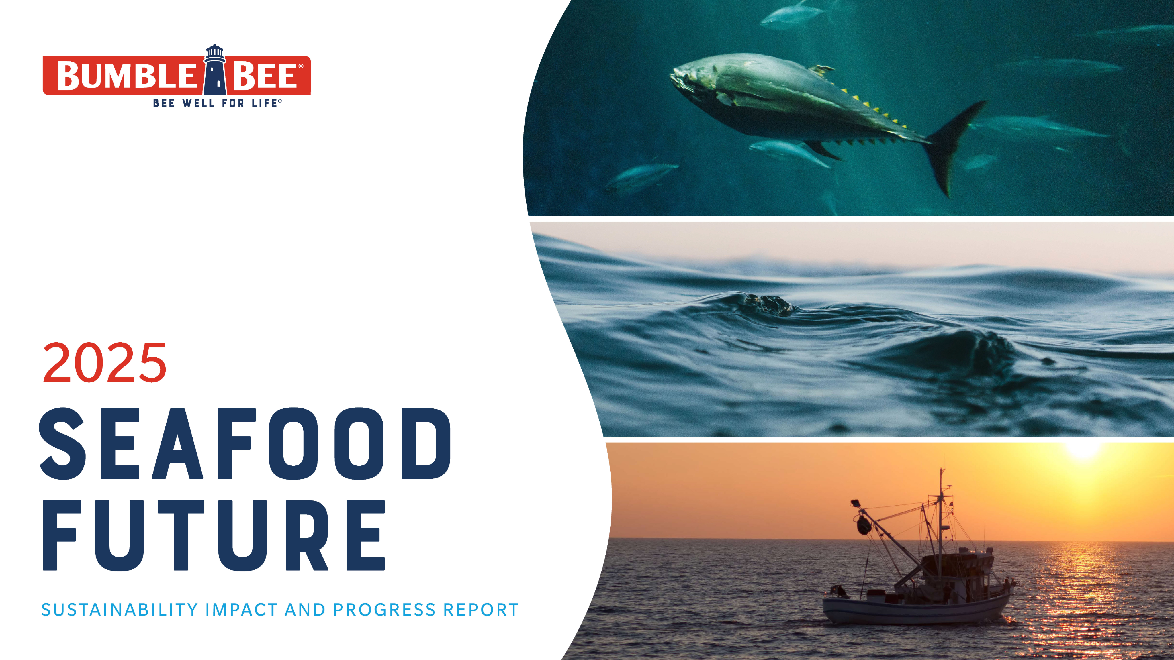 man taking a photo on a wharf