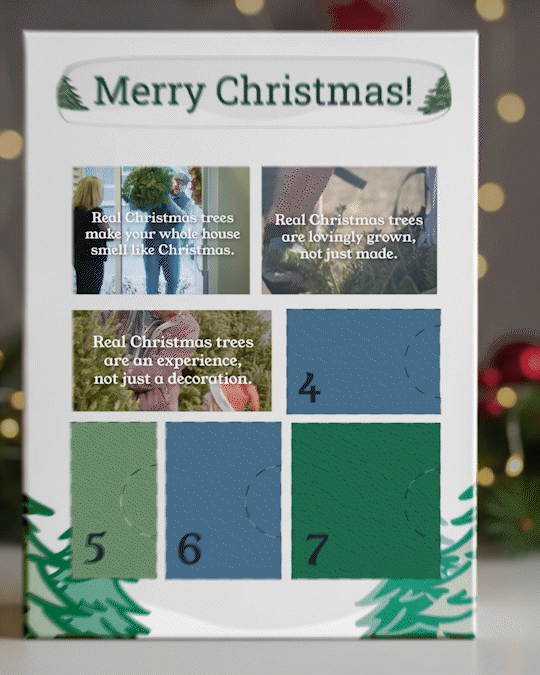 people playing basketball outside