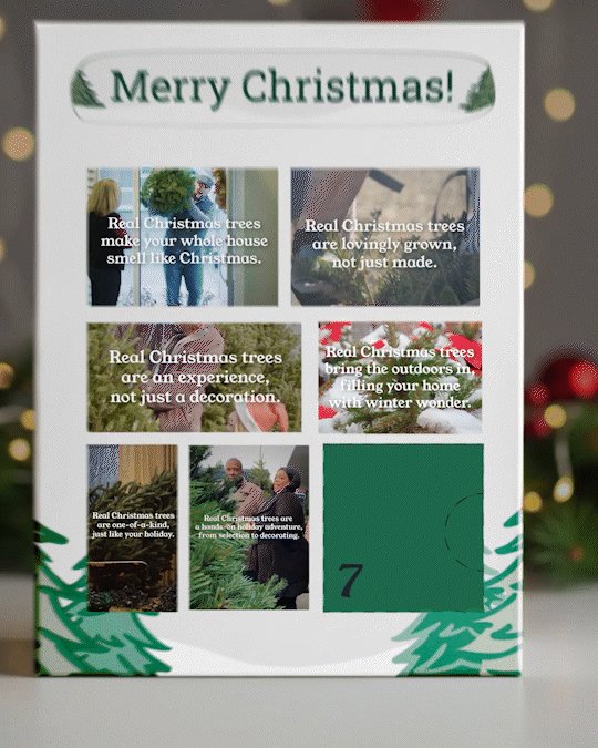 people playing basketball outside