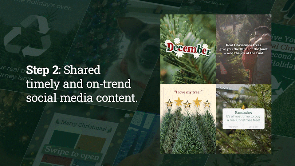 man taking a photo on a wharf