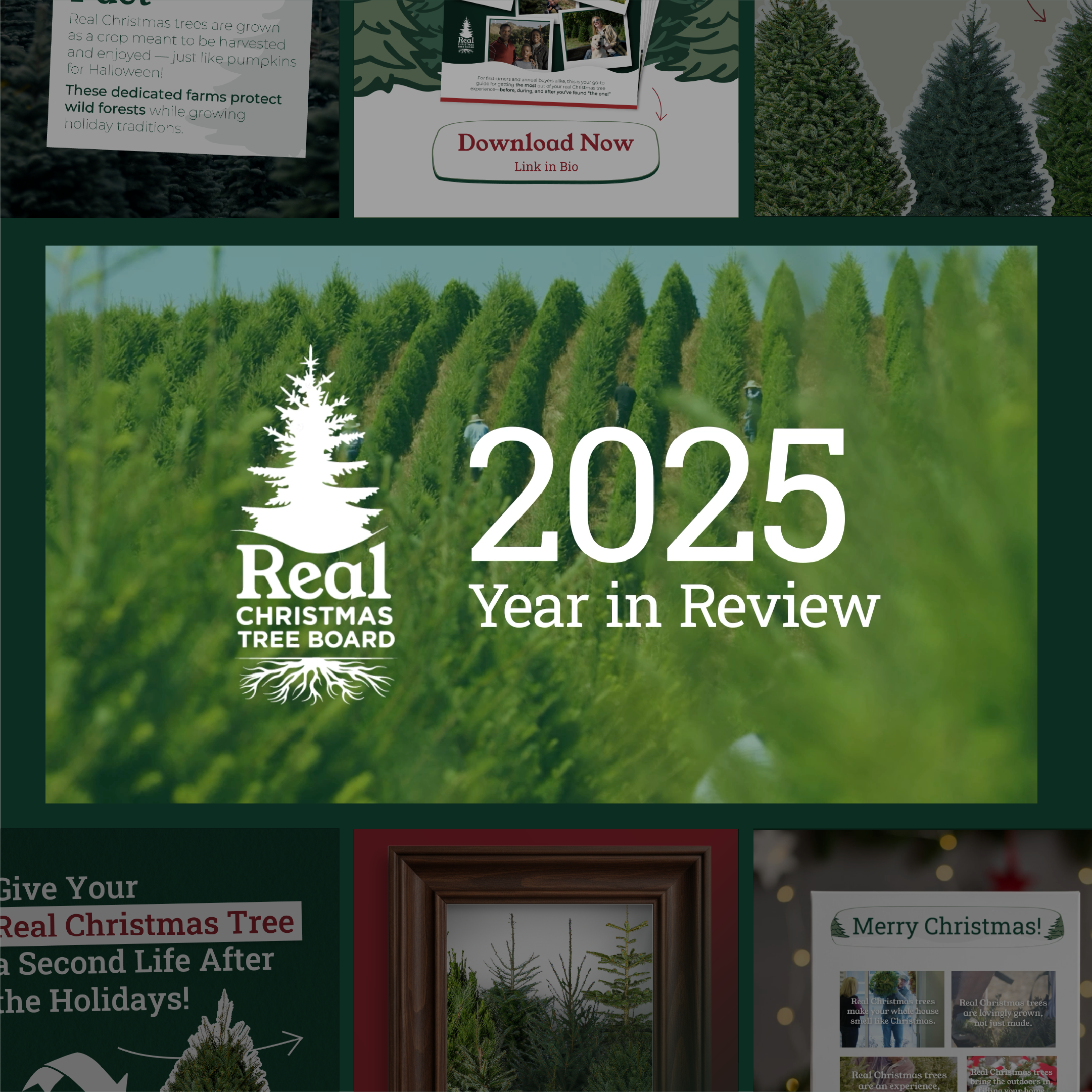 blurry photo of sunset over ocean with logo on top